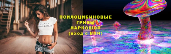Альфа ПВП Магас