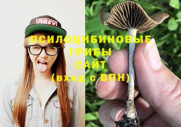 гидра Бабаево