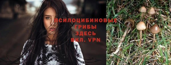 гидропоника Магадан