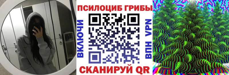 Галлюциногенные грибы Magic Shrooms  Циолковский 
