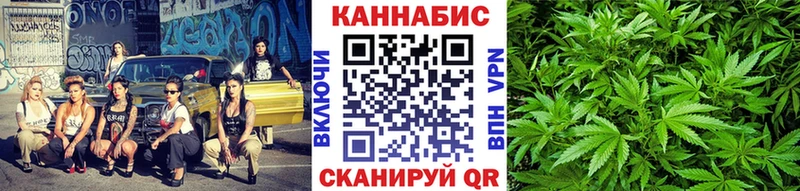 закладка МЕГА ТОР Бошки марихуана гибрид Циолковский
